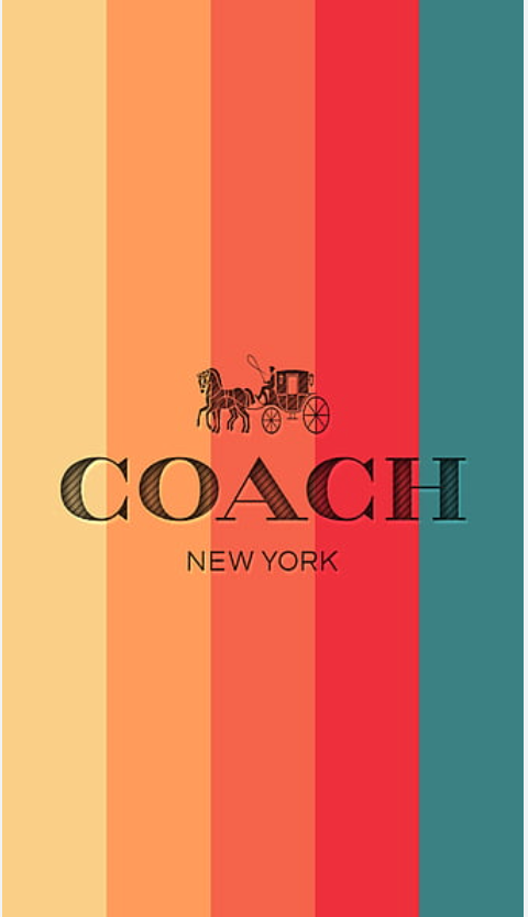 NEW TO YOU COACH HANDBAGS